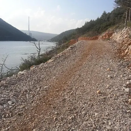 Jakov *